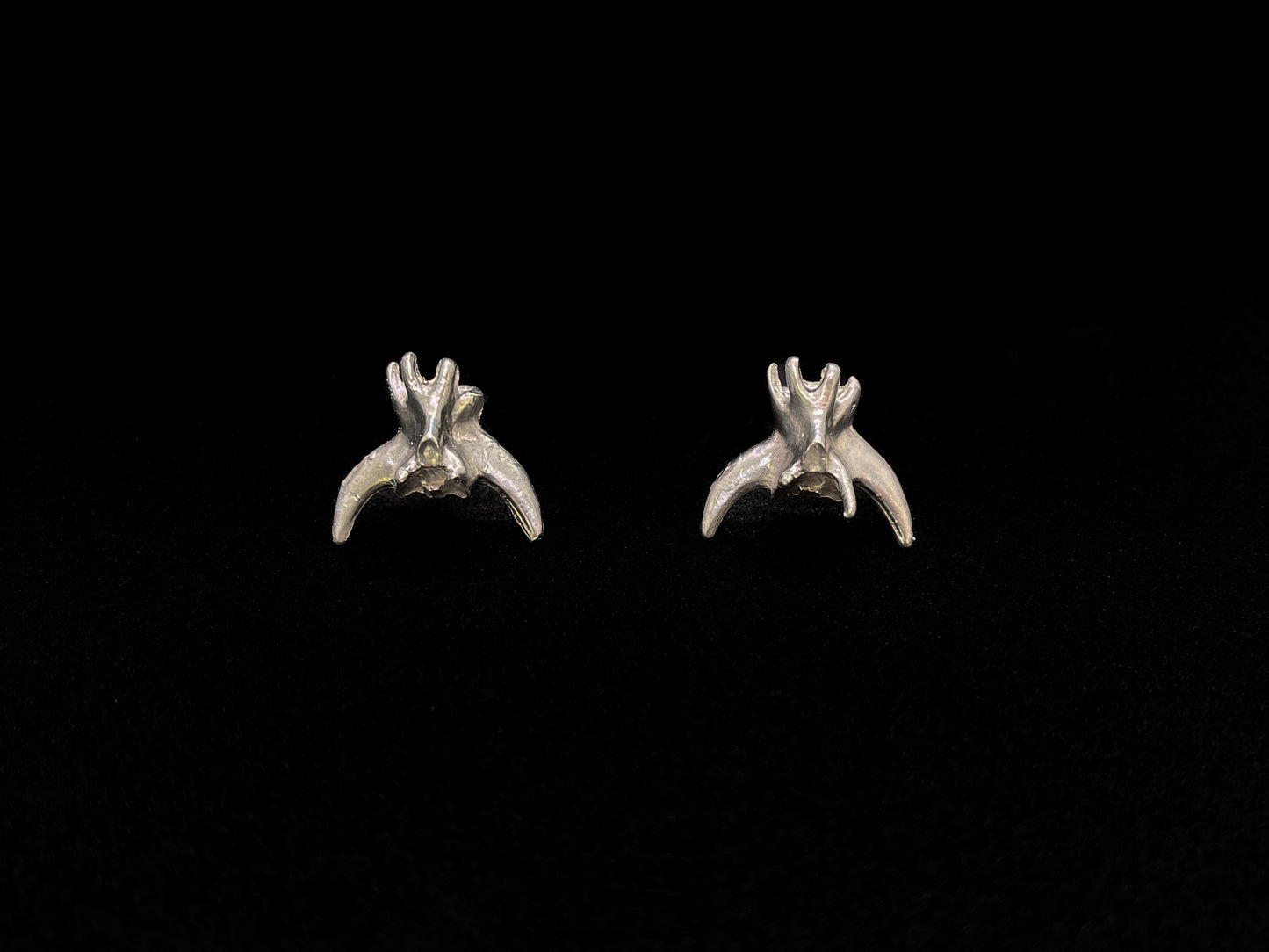 Vertebra Earrings